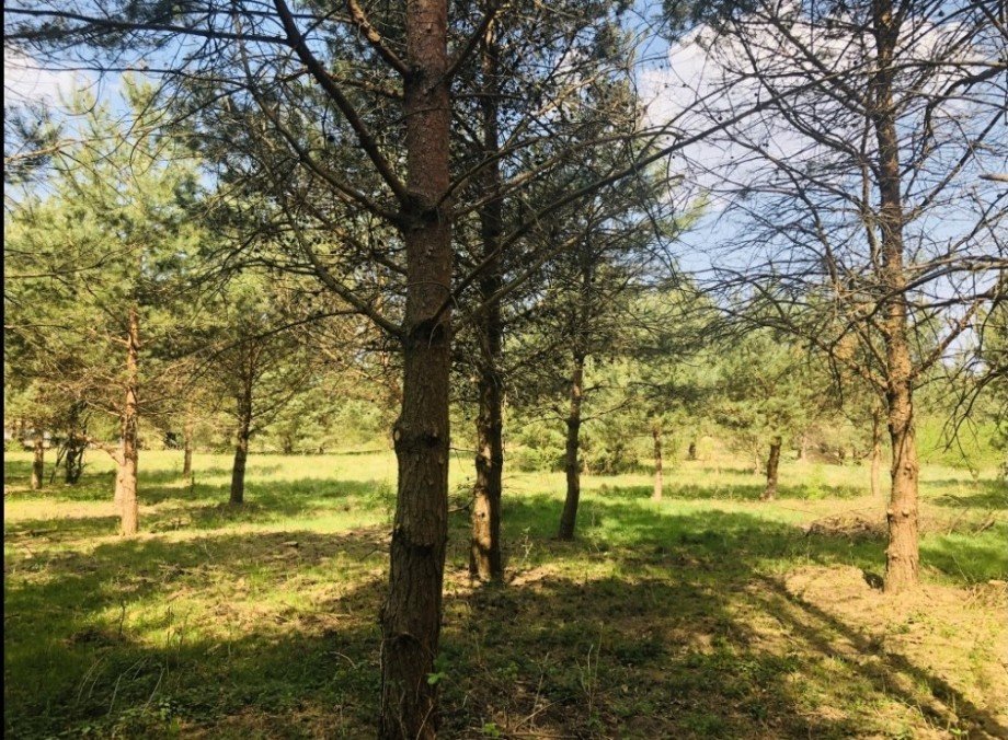 Gardna Park Einfamilienhaus Gardna Wielka