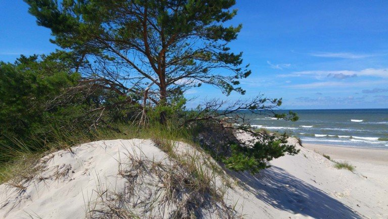 Gadersee Retowo - Pommern [Pomorskie] Einfamilienhaus Ihr Haus am See: unverbaubarer Lage direkt am Gardersee