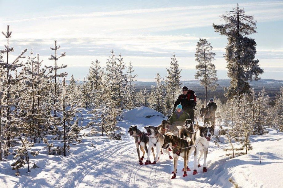 Husky-Schlittenrtour Freizeitgrundst�ck Etnedal