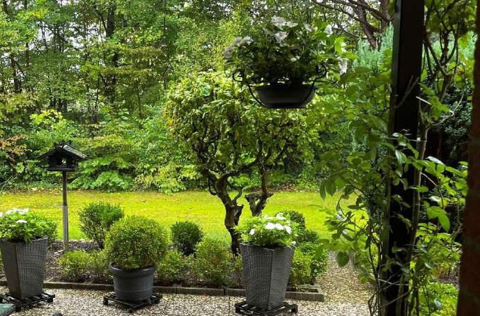 Blick von der Terrasse Erdgeschosswohnung Hamburg