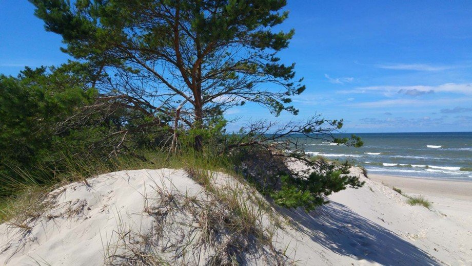 Seeufer Einfamilienhaus Gardna Wielka