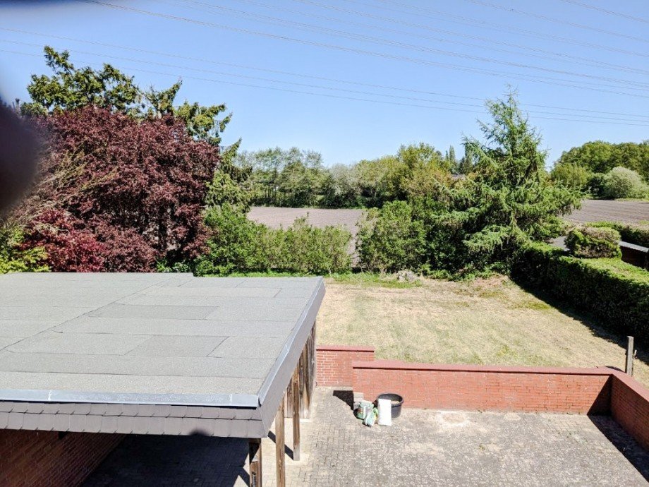 Blick in den Garten Einfamilienhaus Rellingen