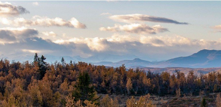 Sommer in Etnedal Etnedal - Hedmark Freizeitgrundst�ck Ihr Baugrundst�ck f�r ein Ferienhaus in traumhafter Lage in Norwegen