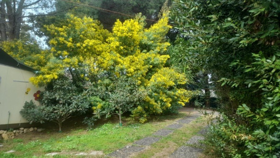 Garten Haus Guardistallo
